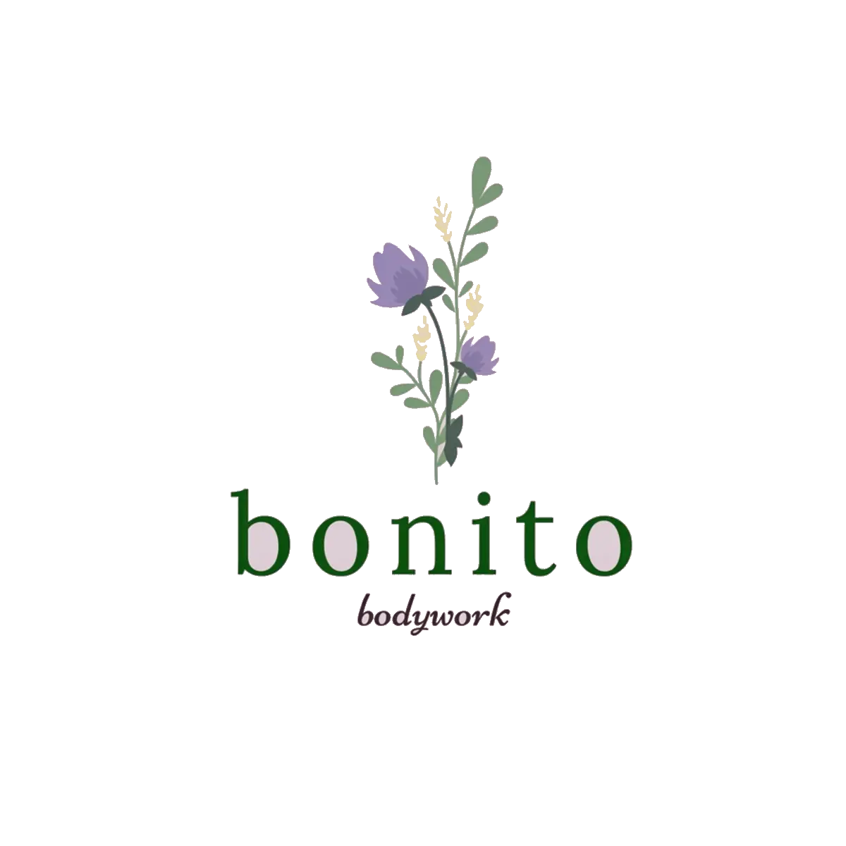 Logotipo de Bonito Bodywork: un ramo de flores moradas y hojas verdes con el nombre bonito en minúscula