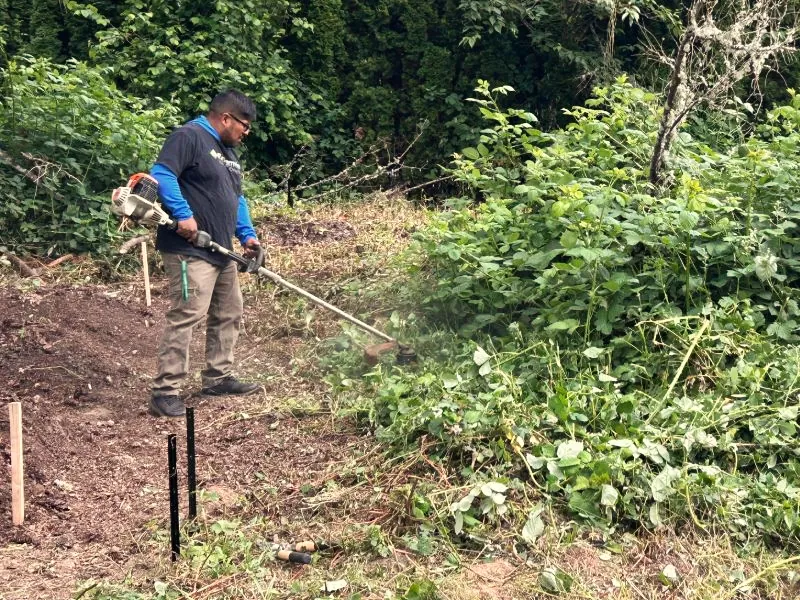 Una persona con gafas maneja una desbrozadora para cortar maleza en un terreno con vegetación densa.
